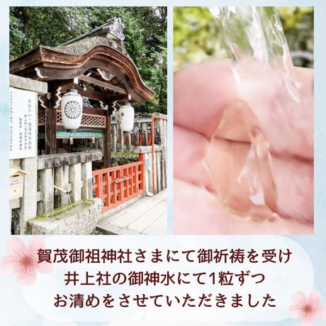 夢を叶える♡龍神様の『祝福の金色粒』龍体文字カード付き⑤
