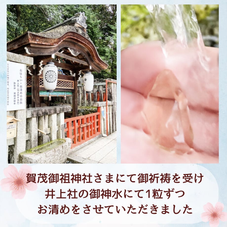 653cd0aefc56601507616339