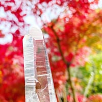 神秘的な光⭐︎コロンビア産レムリアンシード