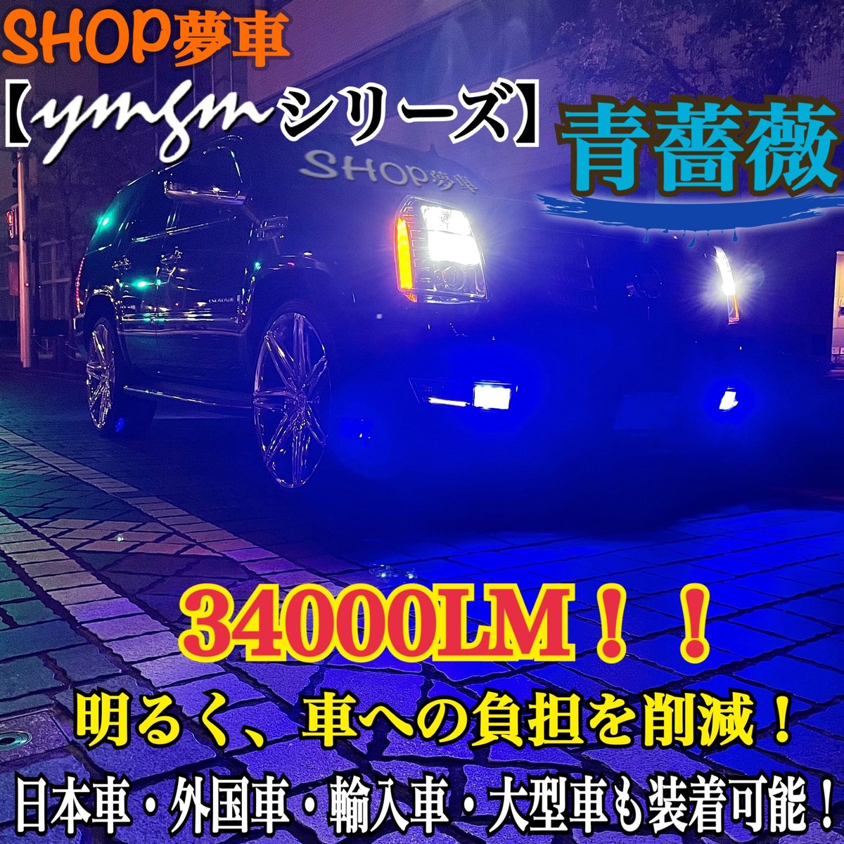 新発売❗️34000LM‼️フォグランプ　LED 青薔薇✨外車も可　ブルーH11