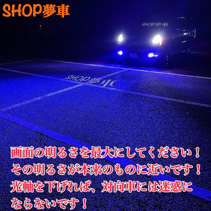 新発売❗️34000LM‼️フォグランプ　LED 青薔薇✨外車も可　ブルーH11
