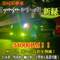 新発売❗️34000LM‼️フォグランプ　LED 青薔薇✨外車も対応　ブルー　H8 新発売❗️34000LM‼️フォグランプLED 青薔薇✨外車も対応ブルーH11