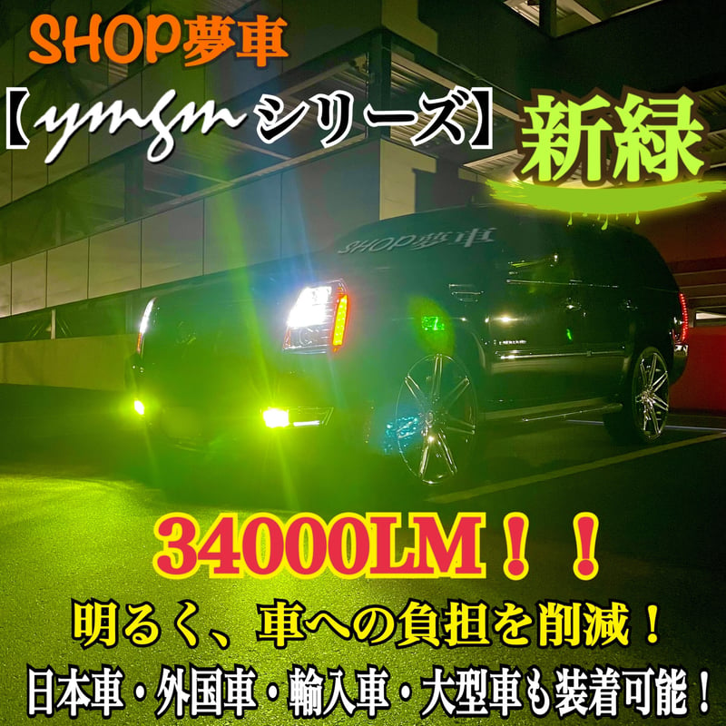 新発売❗️34000LM‼️新緑✨ フォグランプ LED 外車も対応 | SHOP夢車