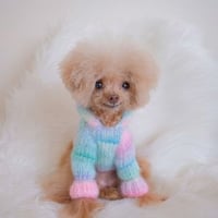 再販★めちゃかわセーター