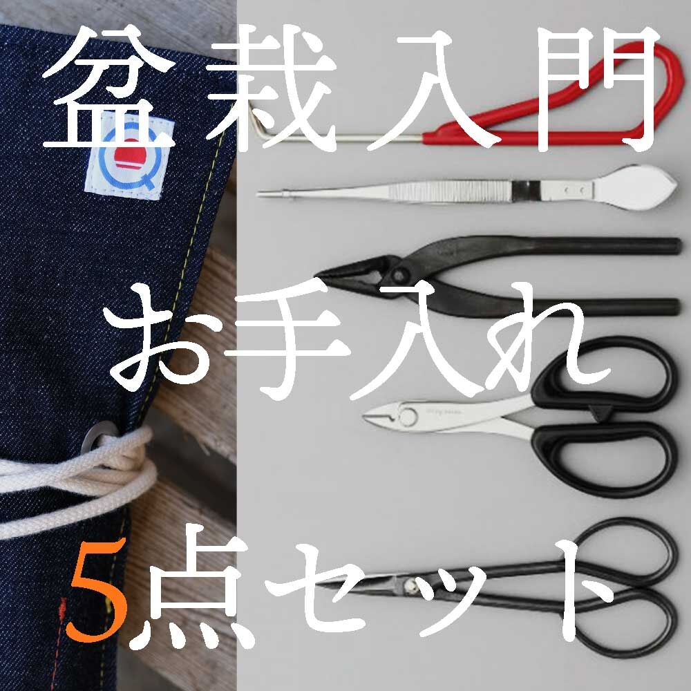 喜久和 盆栽 お手入れ 5本セット 剪定鋏 初心者