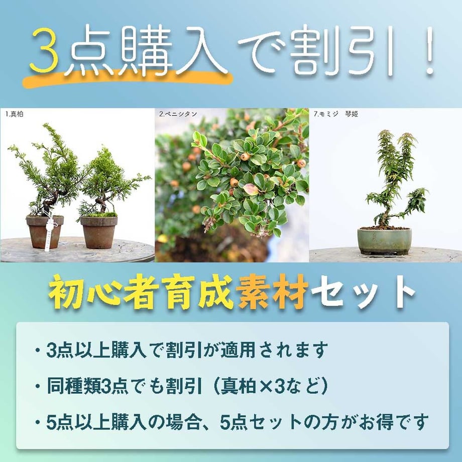 613aecba784e3f198c7409db