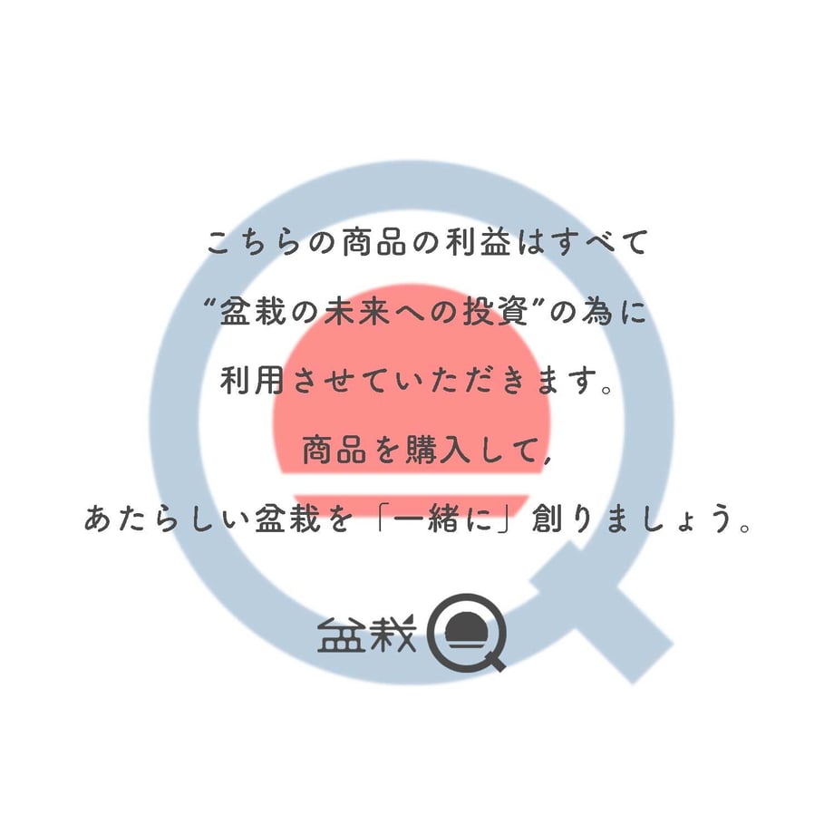 6160f86747a5345a8cca0f80