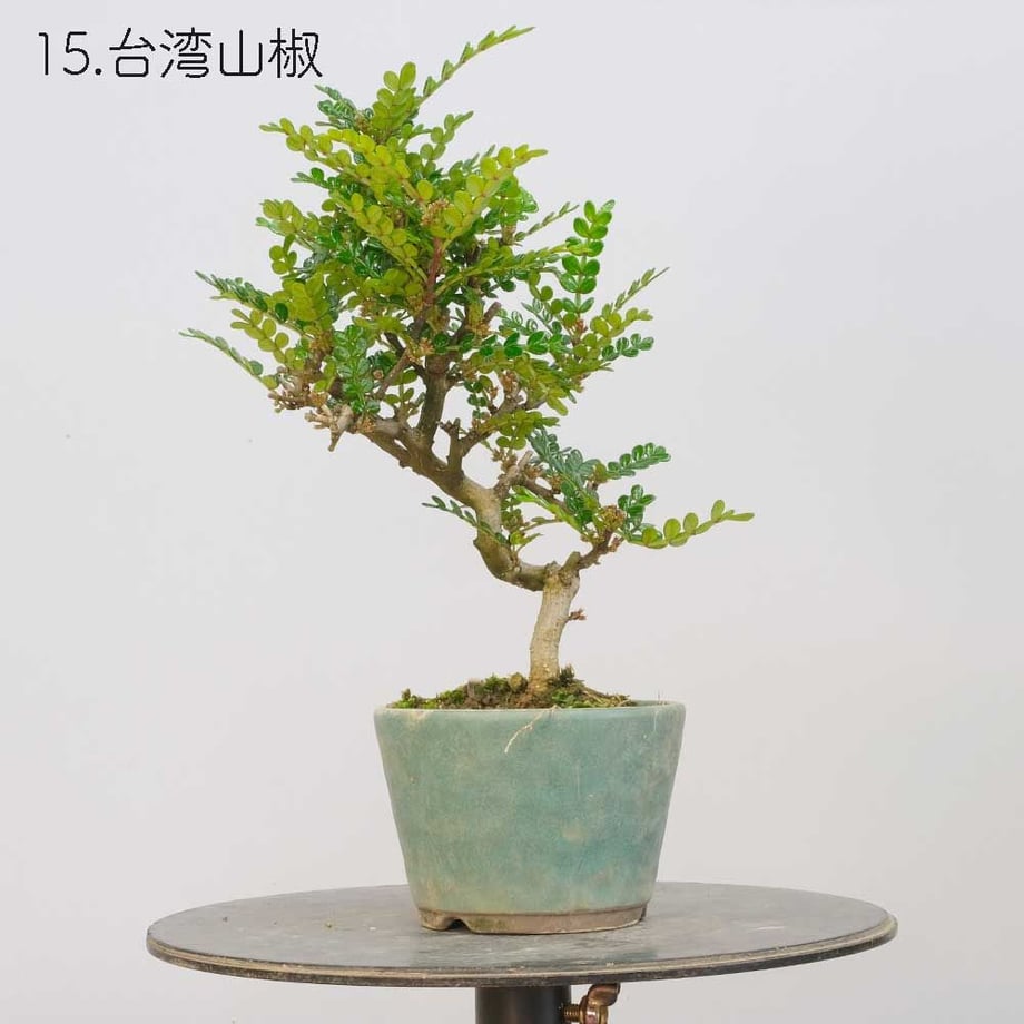 613aecba784e3f198c7409db