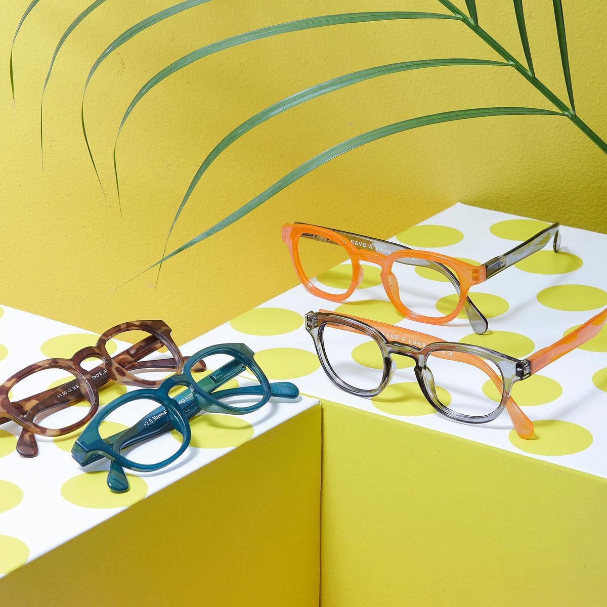 HAVE A LOOK リーディンググラス タイプC HAVE A LOOK リーディンググラス タイプC 度数30/+3.00 TORTOISE