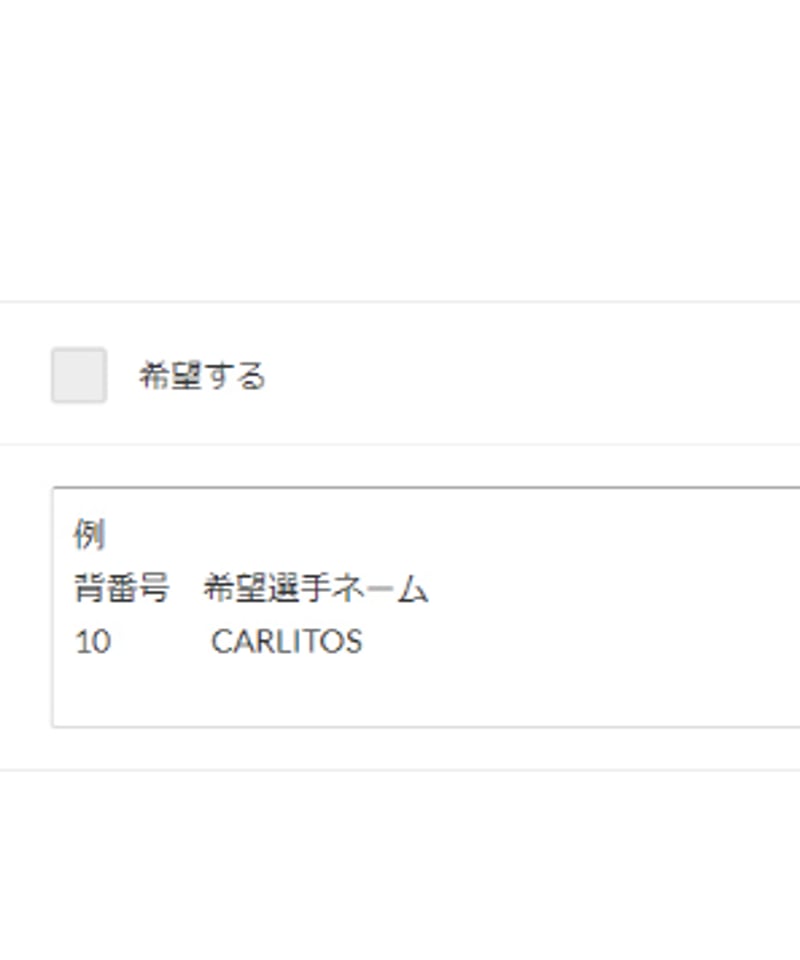 受注販売】24/25 リーベルプレート 公式マーキング付きユニフォーム