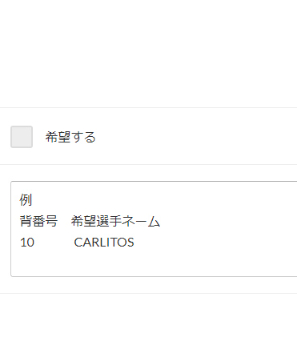 受注販売】NIKE 24/25 イングランド代表アウェイオーセンティック