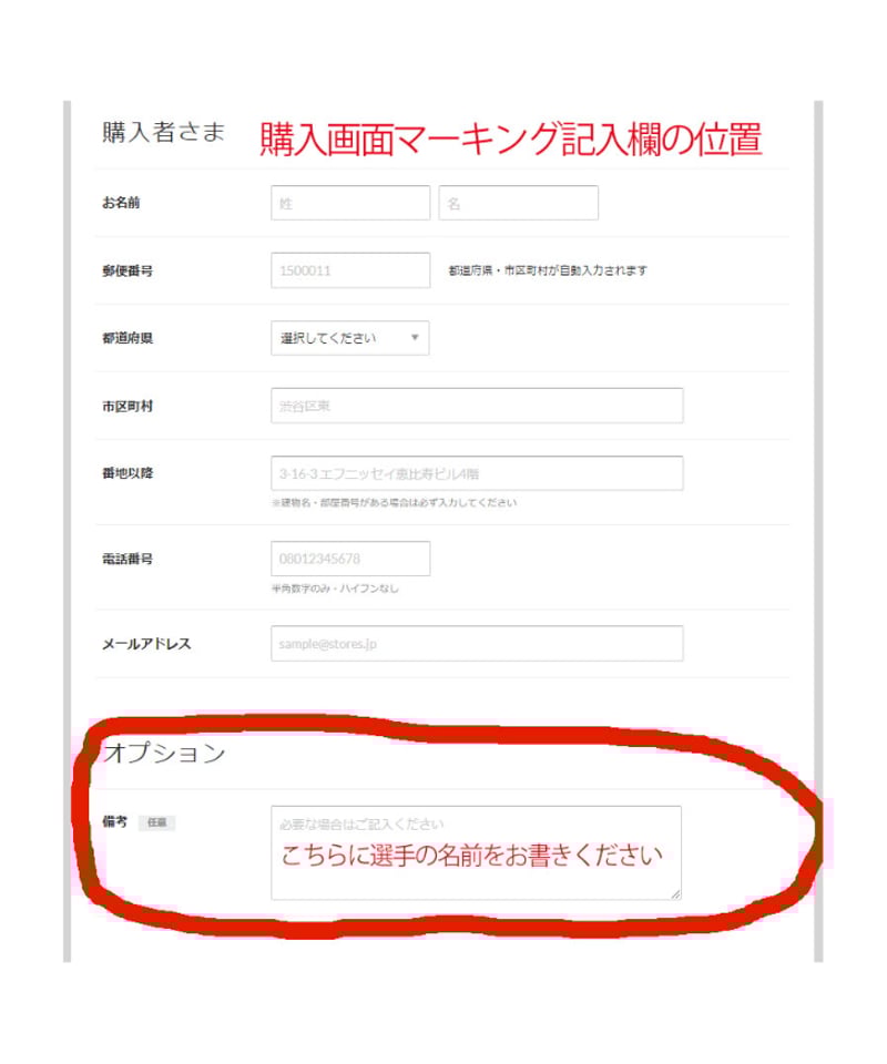 受注販売】NIKE 22/23 FCバルセロナ 公式マーキング+公式リーガ