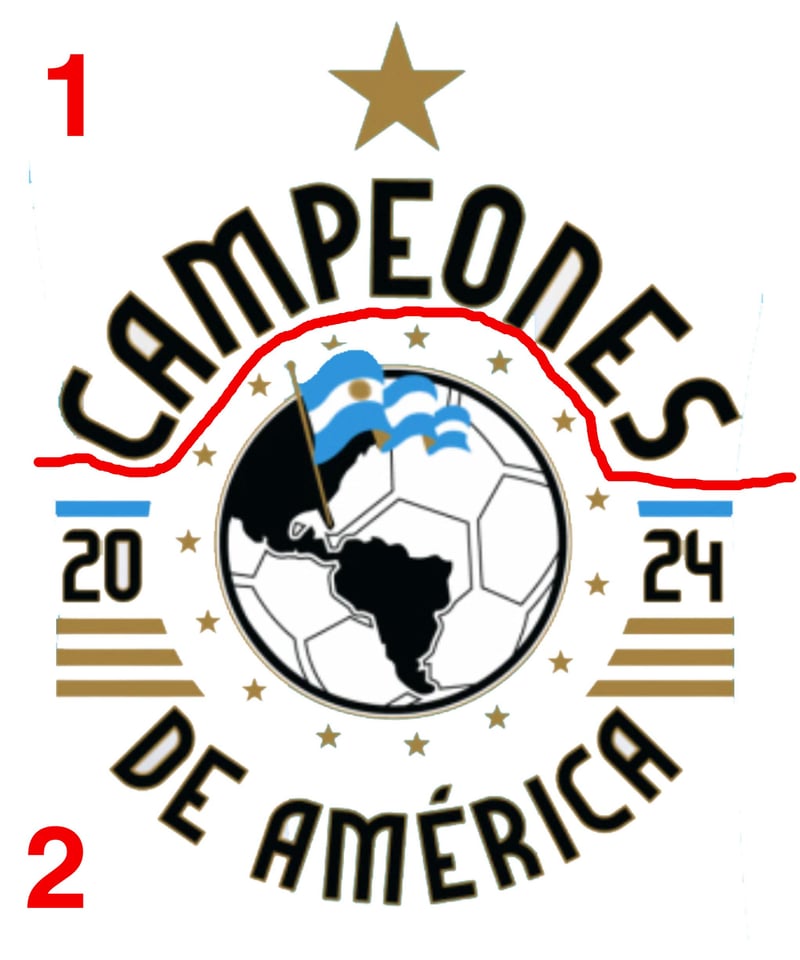 コパアメリカ2024 アルゼンチン代表優勝記念仕様マーキング | Football