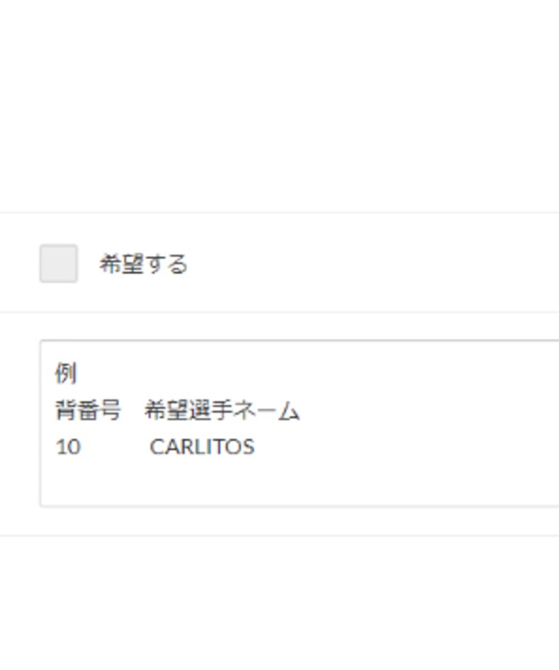 受注販売】24-25アルゼンチン代表 ホーム支給マーキング