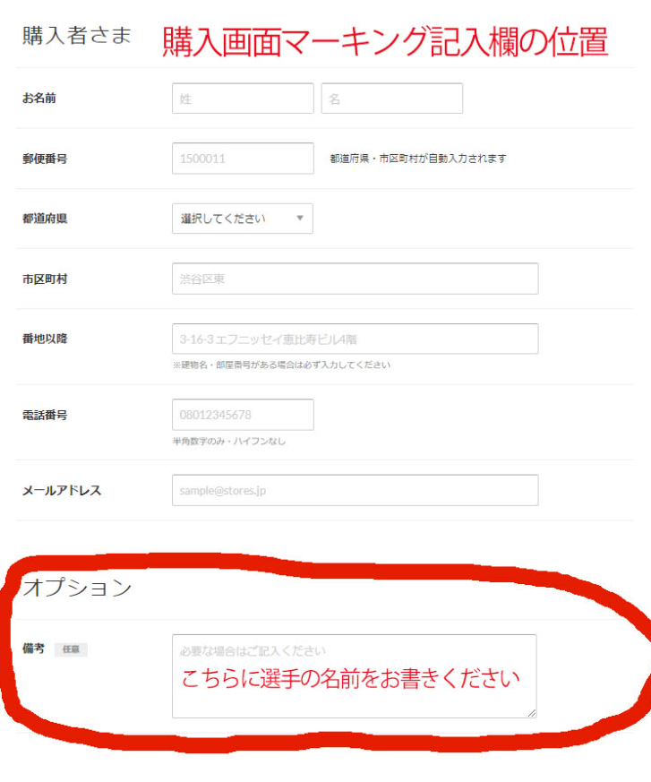 受注販売】NIKE 24/25 イングランド代表アウェイオーセンティック