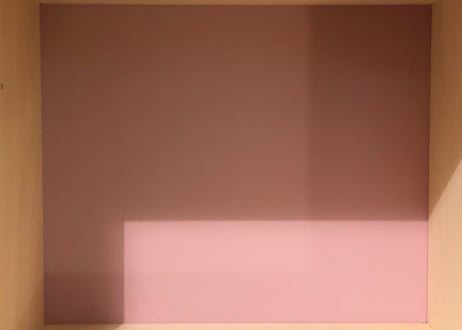 御所染 GOSYOZOME　絹目艶  5㎡ ※