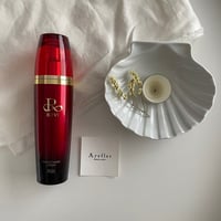 REVI スプレーガンセット REVI スプレーガン（陶肌セラム30本セット）