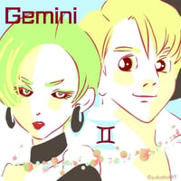 12星座珈琲～双子座ブレンド～（100g）