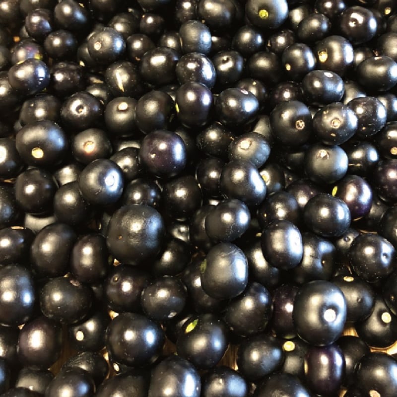 ガーデンハックルベリー 1kg | いっぷく農園