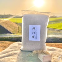 完売【備蓄用真空パック】 『神の米』（ 玄米 5kg  栽培期間中農薬不使用 化学肥料 除草剤不使用、基本送料無料）滋賀県産（令和7年度産） 品種（イセヒカリ）