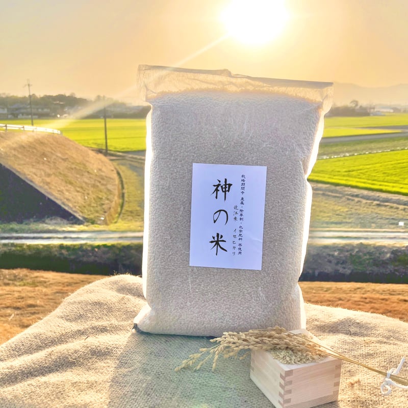完売 【備蓄用真空パック】 『神の米』（ 玄米 5kg 栽培期間中農薬不