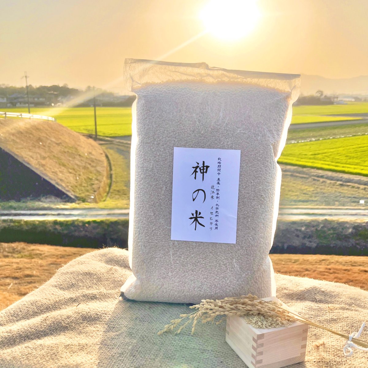 古古米 25kg (5kgX5袋) 玄米　真空パック保管 食品 古古米 25kg (5kgX5袋) 玄米 真空パック保管