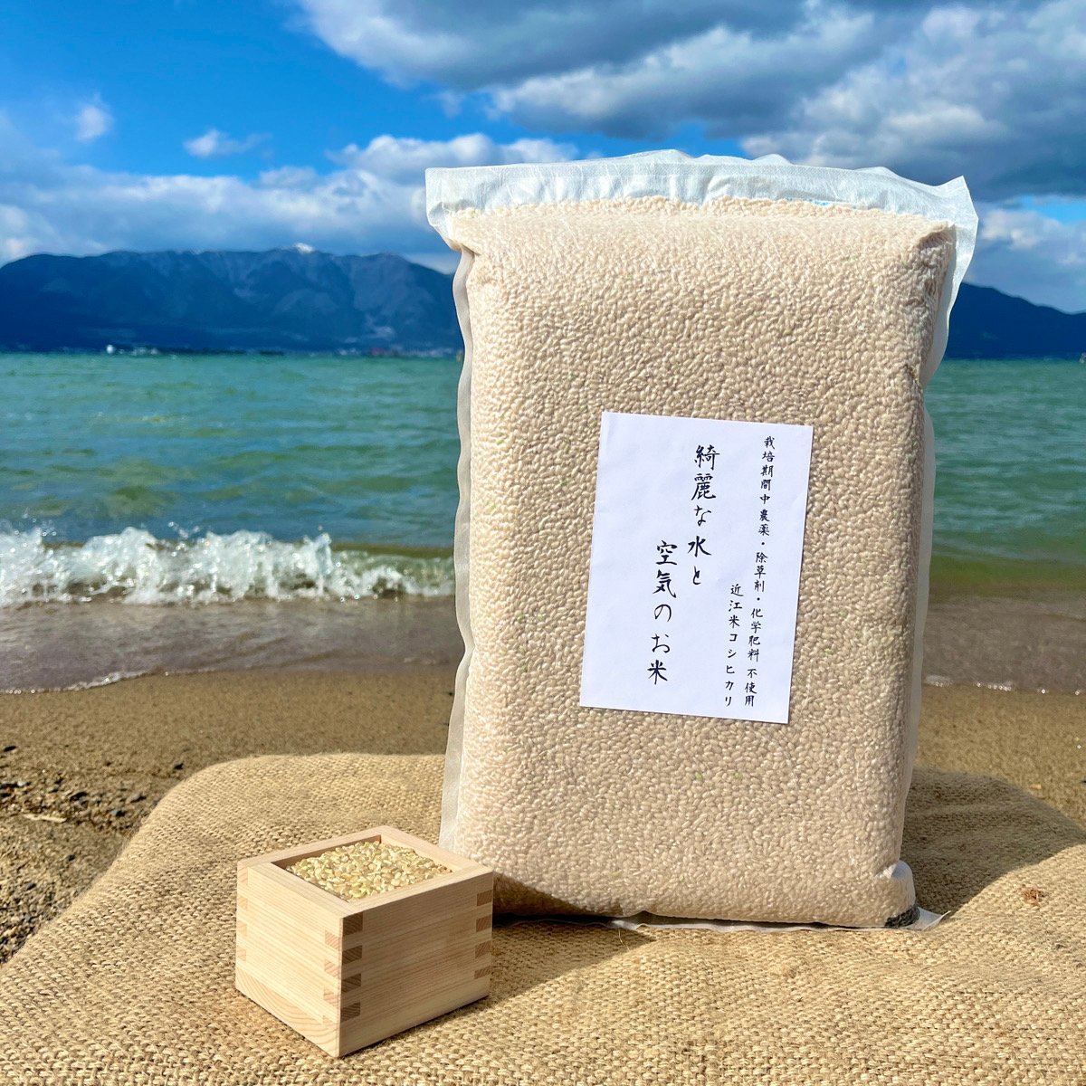 真空パック米　5kg×4袋 fit=scale-down,w=1200