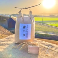 完売【通常包装】 『神の米』（玄米  5kg  栽培期間中農薬不使用 化学肥料 除草剤不使用、基本送料無料）滋賀県産（令和7年度産） 品種（イセヒカリ）