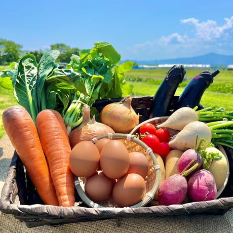 CATEGORY 野菜（セット） | 伝真