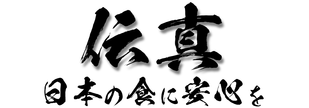 伝真