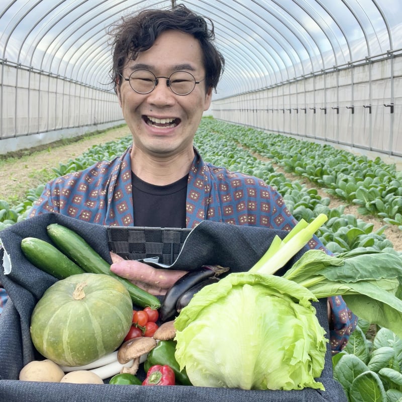 完売【無農薬ニンニク（300g）付き】旬のお野菜セット（栽培期間