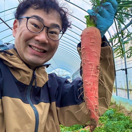 完売【トモ農園産】『完熟リコピン人参』5kg（栽培期間中農薬不使用、除草剤不使用）基本送料無料　滋賀県産