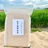 完売【備蓄用真空パック詰め】『全力愛情玄米』（ 玄米  5kg   栽培期間中農薬不使用 化学肥料 除草剤不使用、基本送料無料）滋賀県産（令和7年度産） 品種（ミルキークイーン）