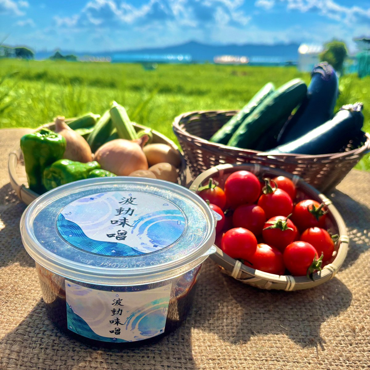 完売【波動味噌 400g付き】旬のお野菜セット（栽培期間中農薬不使用