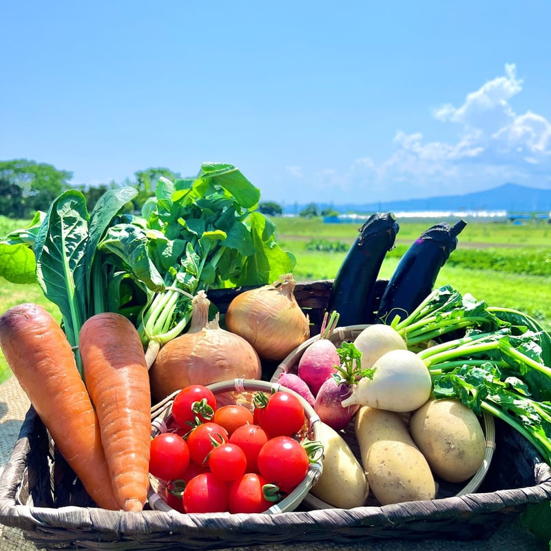 単発購入】旬の波動野菜セット(栽培期間中農薬不使用&栽培期間 単発購入】旬の波動野菜セット(栽培期間中農薬不使用&栽培期間