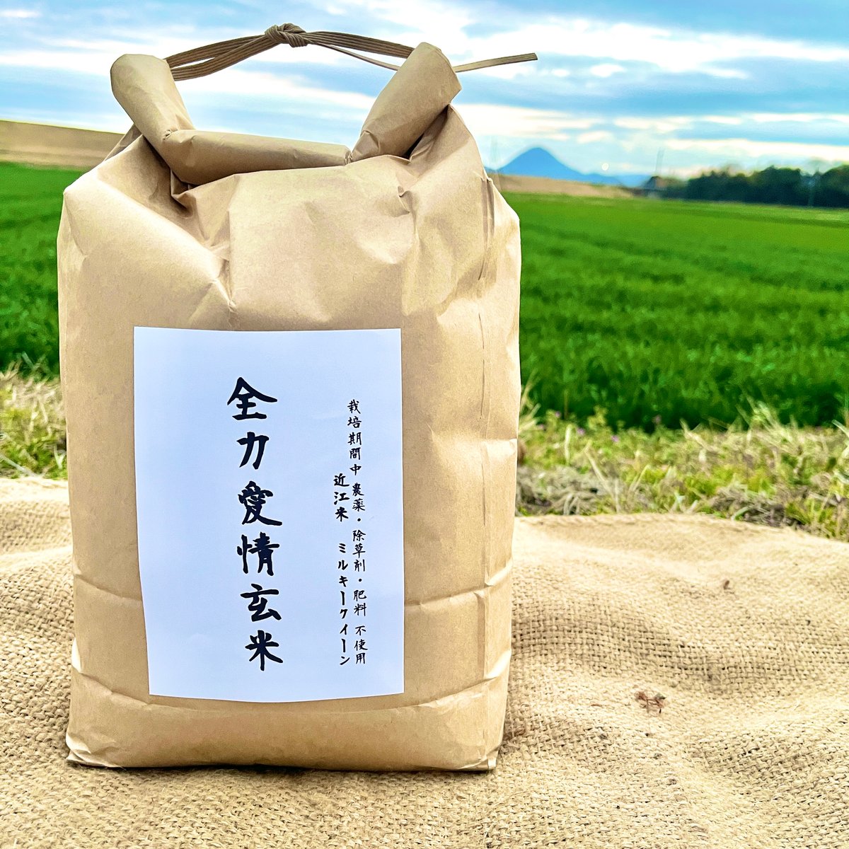 完売【通常包装】 『全力愛情玄米』（ 玄米 5kg 栽培期間中農薬