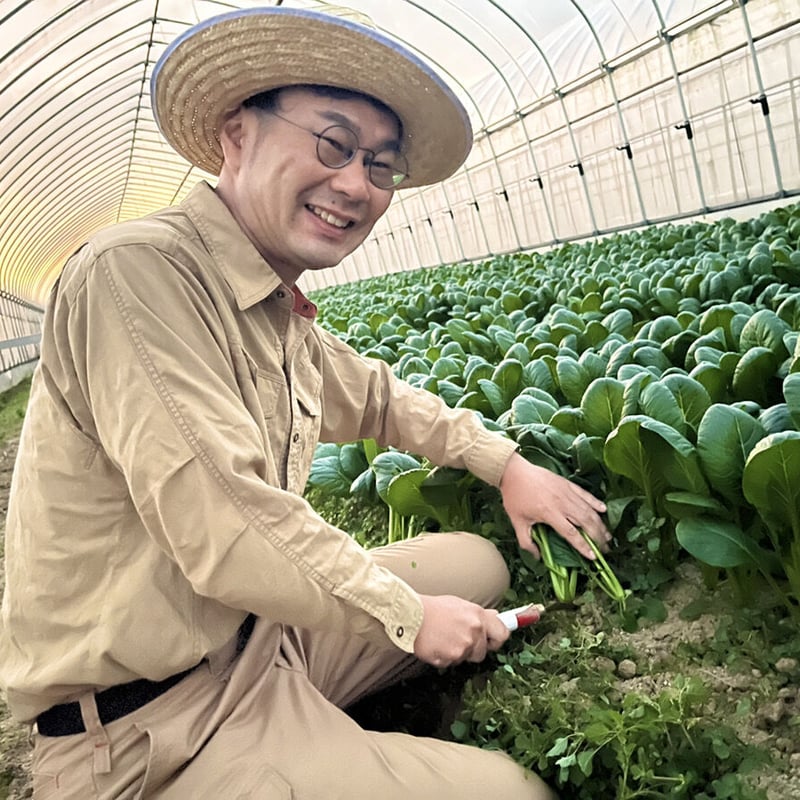 今回残り20個【単発購入】旬の波動野菜セット（栽培期間中農薬不