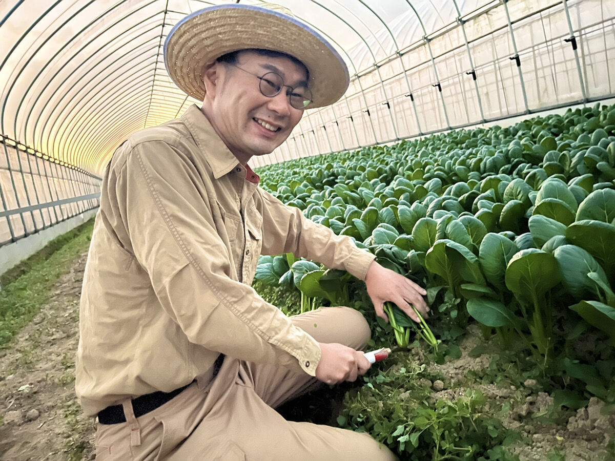単発購入】旬の波動野菜セット(栽培期間中農薬不使用&栽培期間 単発購入】旬の波動野菜セット(栽培期間中農薬不使用&栽培期間
