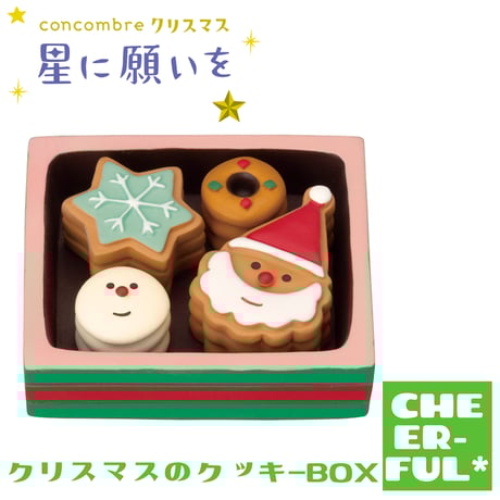 クリスマスのクッキーBOX【星に願いを】