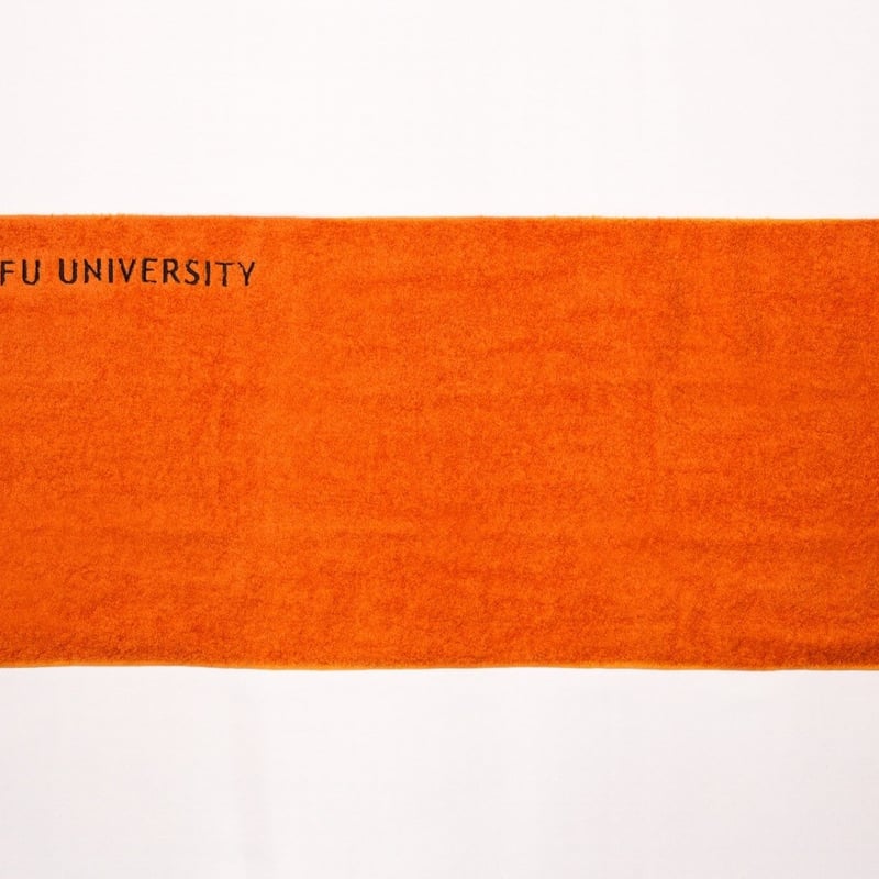 ギフト用(化粧箱入)】岐阜大学タオル エアーかおるダディボーイ