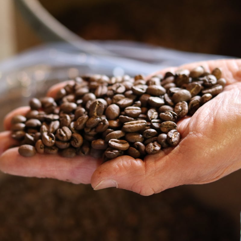 自家焙煎 珈琲市場 コーヒー豆セット500g | 自家焙煎 珈琲市場