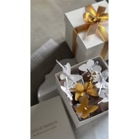 12月20日(土)   [店頭お渡し]   　NoëlBox-Papillon battant-