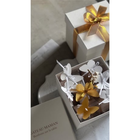 12月20日(土)   [店頭お渡し]   　NoëlBox-Papillon battant-