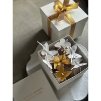 12月18日(木)   [店頭お渡し]   　NoëlBox-Papillon battant-