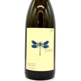 メ*8様 アンドレアス　ツェッペ アンドレアス・ツェッペ / サラマンダー（トカゲ）2020 | WANDERLUST