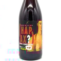 アンドレアス・ツェッペ / サラマンダー（トカゲ）2020