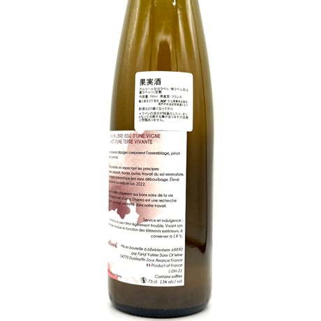 サンズ・オブ・ワイン / ダルマ 2021