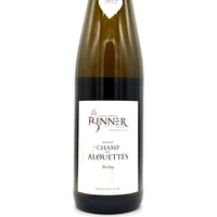 アンドレアス・ツェッペ / サラマンダー（トカゲ）2020 | WANDERLUST