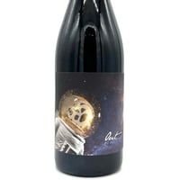 ユーディト・ベック / アウト 2021