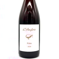 アンドレアス・ツェッペ / サラマンダー（トカゲ）2020 | WANDERLUST